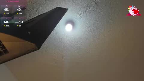 B L A C K  R O S E  online show from 12, 2, 2025