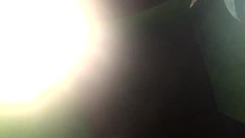 Snapshot of blackasiancockts chatting on 27, 12, 2024 Crystal online show from 27, 12, 2024