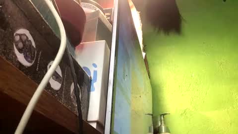 Snapshot of blackasiancockts chatting on 13, 11, 2025 Crystal online show from 13, 11, 2025