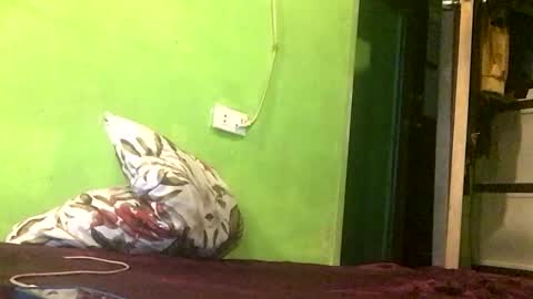 Crystal online show from 18, 4, 2026