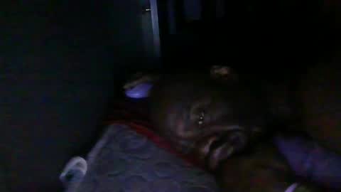 blackteddybear online show from 18, 2, 2026