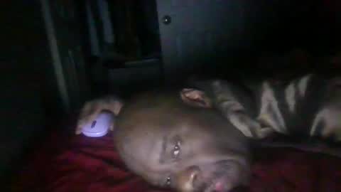 blackteddybear online show from 21, 2, 2026