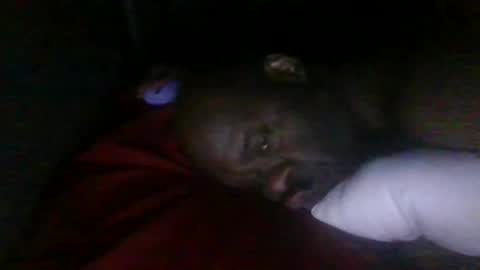 blackteddybear online show from 2, 3, 2026