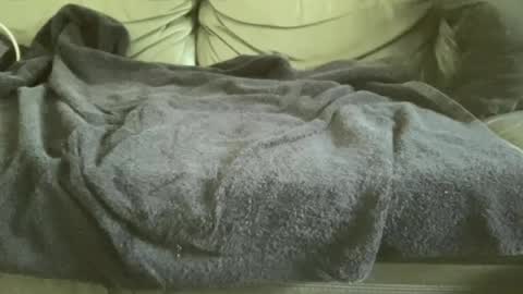 Snapshot of blacky290 chatting on 29, 6, 2026 blacky290 online show from 29, 6, 2026
