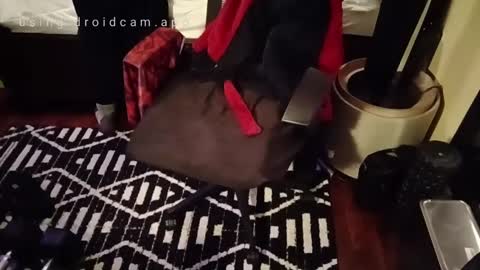 Blackjag00 online show from 23, 2, 2025