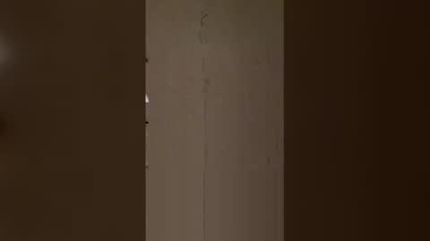 Anita online show from 16, 4, 2026