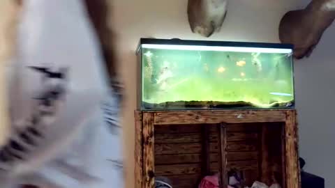 blasianangel444 online show from 17, 4, 2026