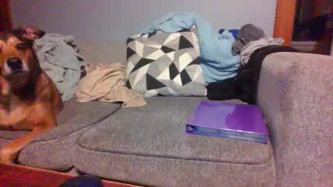 blaw_1321 online show from 19, 9, 2025