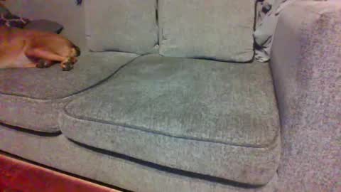 blaw_1321 online show from 29, 9, 2025