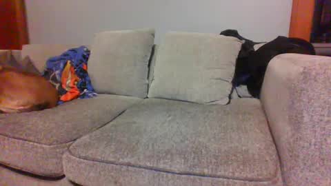 blaw_1321 online show from 4, 10, 2025