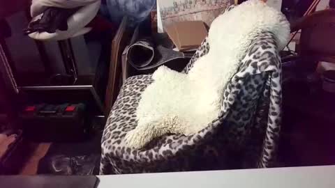 Snapshot of blindsurfer780299 chatting on 15, 3, 2026 blindsurfer780299 online show from 15, 3, 2026