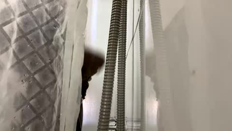 blkbiguncut10462 online show from 24, 2, 2025