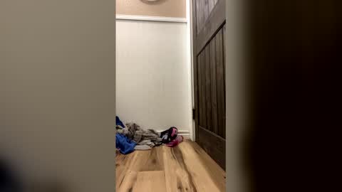 blondi420 online show from 29, 4, 2026