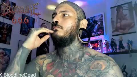    online show from 15, 6, 2026