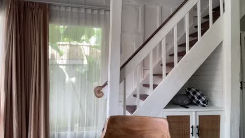 Snapshot of bloomyogi chatting on 14, 1, 2026 Emma Bloom online show from 14, 1, 2026