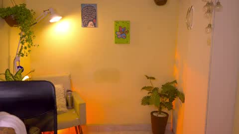 FLORAA online show from 7, 4, 2026