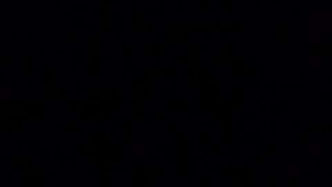 blueishgoldish online show from 23, 3, 2026