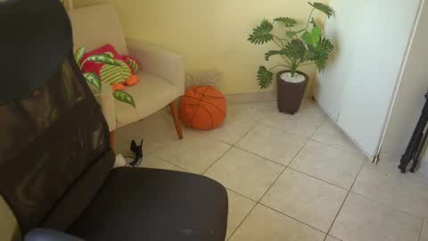 Snapshot of bluemysticlady chatting on 11, 3, 2025 FLORAA online show from 11, 3, 2025