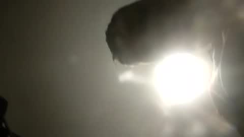 Snapshot of bobby160968 chatting on 24, 2, 2025 bobby160968 online show from 24, 2, 2025