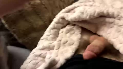 bobdillon401 online show from 10, 1, 2025