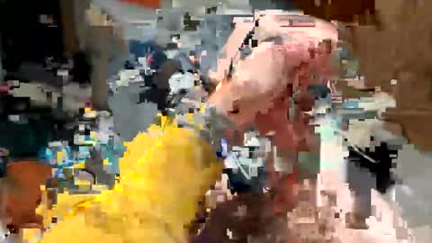 bobdillon401 online show from 15, 2, 2026