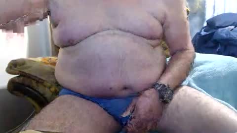 bolbil1 online show from 2, 12, 2024