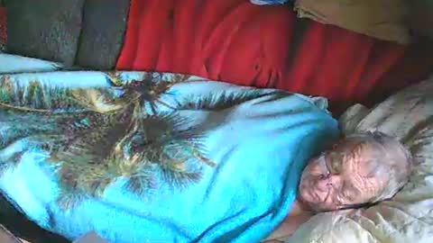 Snapshot of bomber59potsdam chatting on 25, 1, 2025 Bomber59potsdam online show from 25, 1, 2025