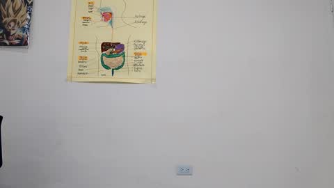 Boner Steve online show from 14, 9, 2025