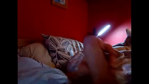 bonzoband online show from 9, 2, 2026