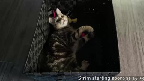 Booker Baxton online show from 7, 1, 2026