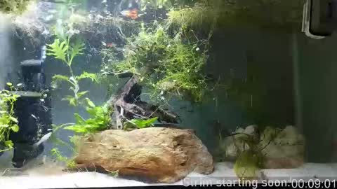 Booker Baxton online show from 22, 2, 2026