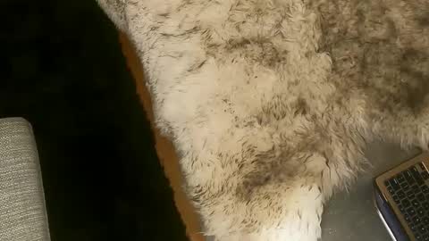 Kim and Kooper online show from 7, 3, 2025