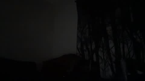bootymaxxx online show from 29, 4, 2026