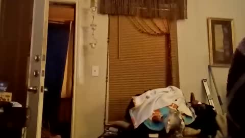 boredaf6678 online show from 22, 11, 2025