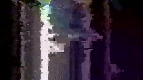 boredaf6678 online show from 5, 12, 2025