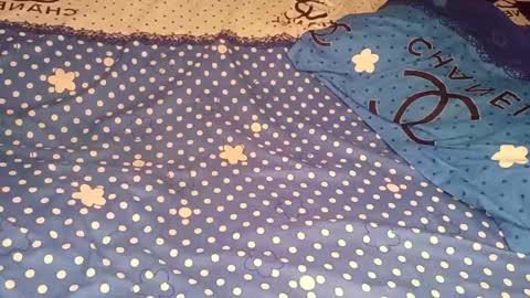 Snapshot of bossetassy chatting on 16, 12, 2025 bossetassy online show from 16, 12, 2025