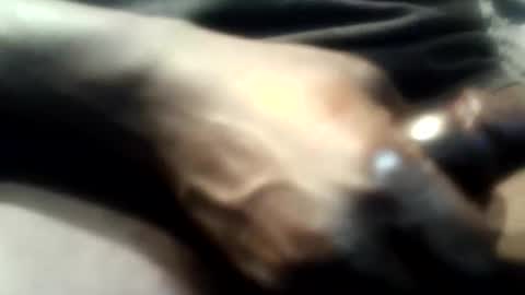 botofogo online show from 1, 12, 2025