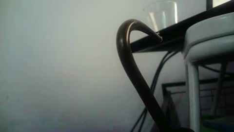 BottoMMlad online show from 9, 1, 2025
