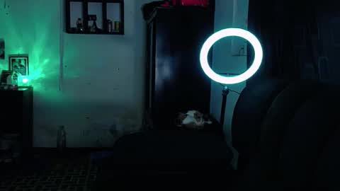 boy_nauthy online show from 8, 1, 2026