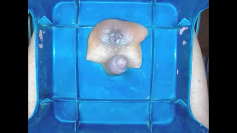 boyfantasies_11 online show from 11, 1, 2026