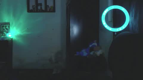 miguel  online show from 13, 1, 2026