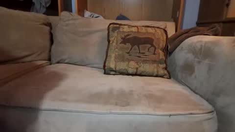 smoothslutfordaddy online show from 9, 2, 2026