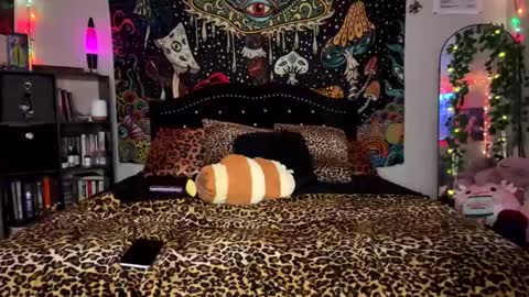 Puddin online show from 24, 1, 2025