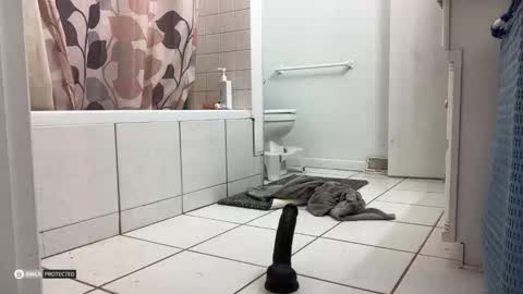 boysetsfire34 online show from 8, 10, 2025