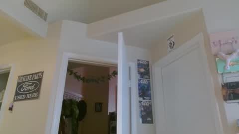 Snapshot of braindeadbetty chatting on 30, 5, 2026 i am a naughty jedi knight online show from 30, 5, 2026