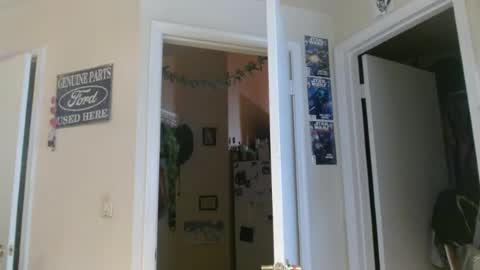 Snapshot of braindeadbetty chatting on 14, 6, 2026 i am a naughty jedi knight online show from 14, 6, 2026