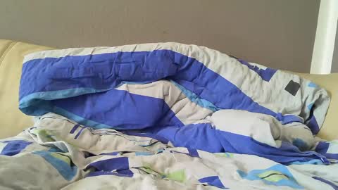 bramer8787 online show from 1, 2, 2025