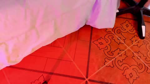   online show from 18, 12, 2024