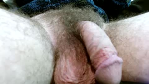 Snapshot of braxton78 chatting on 24, 1, 2025 braxton78 online show from 24, 1, 2025