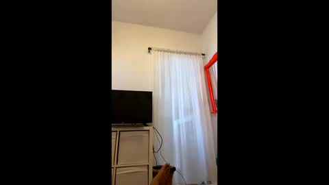 Snapshot of brazilianb0yy chatting on 22, 9, 2025 brazilianb0yy online show from 22, 9, 2025